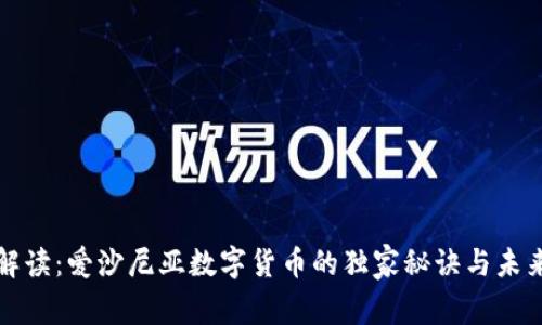 专家解读：爱沙尼亚数字货币的独家秘诀与未来趋势