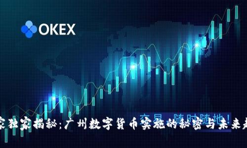 专家独家揭秘:广州数字货币实施的秘密与未来趋势