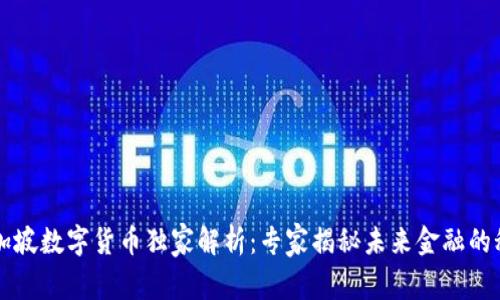 新加坡数字货币独家解析：专家揭秘未来金融的秘密