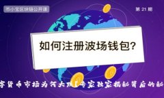 数字货币市场为何大跌？专家独家揭秘