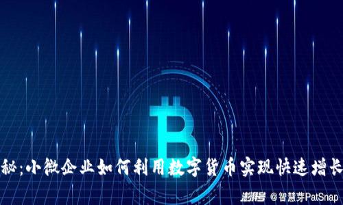 独家揭秘：小微企业如何利用数字货币实现快速增长的秘诀