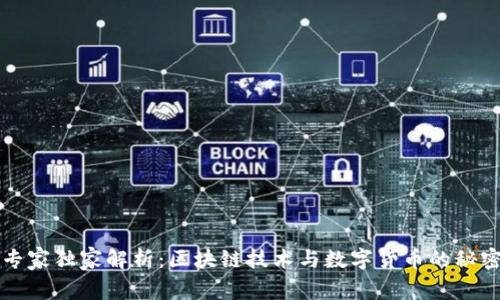专家独家解析：区块链技术与数字货币的秘密