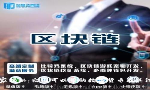 专家独家揭秘：出国可以带的数字货币及其注意事项