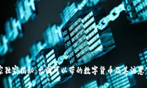 专家独家揭秘：出国可以带的数字货币及其注意事项