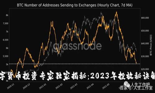 数字货币投资专家独家揭秘：2023年投放秘诀解析