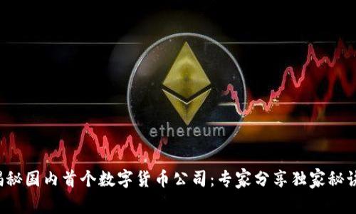 揭秘国内首个数字货币公司:专家分享独家秘诀!
