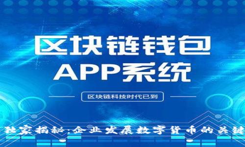 专家独家揭秘：企业发展数字货币的关键秘诀